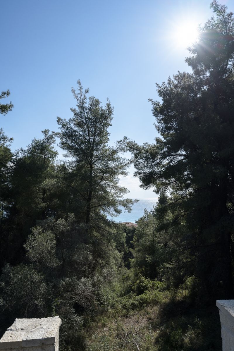 House in Chalkidiki, Greece, 150 m² - picture 11