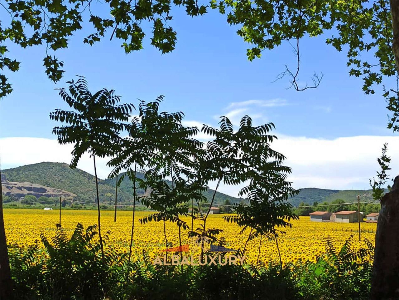 Villa Via Erote, Italia, 1 400 m² - foto 10