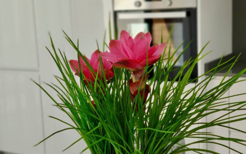 Villa a Polop de la Marina, Spagna - foto 18