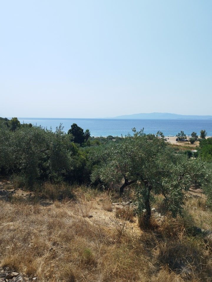 Land in Chalkidiki, Greece, 4 000 m² - picture 1