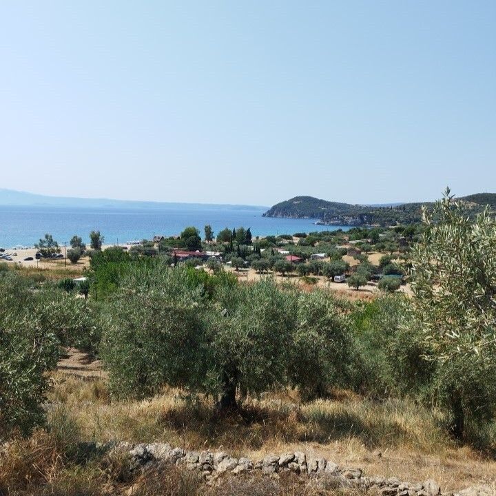 Land in Chalkidiki, Greece, 4 000 m² - picture 4