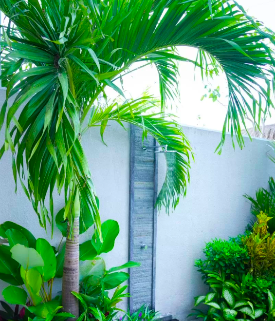 Casa a Canggu, Indonesia, 120 m² - foto 2