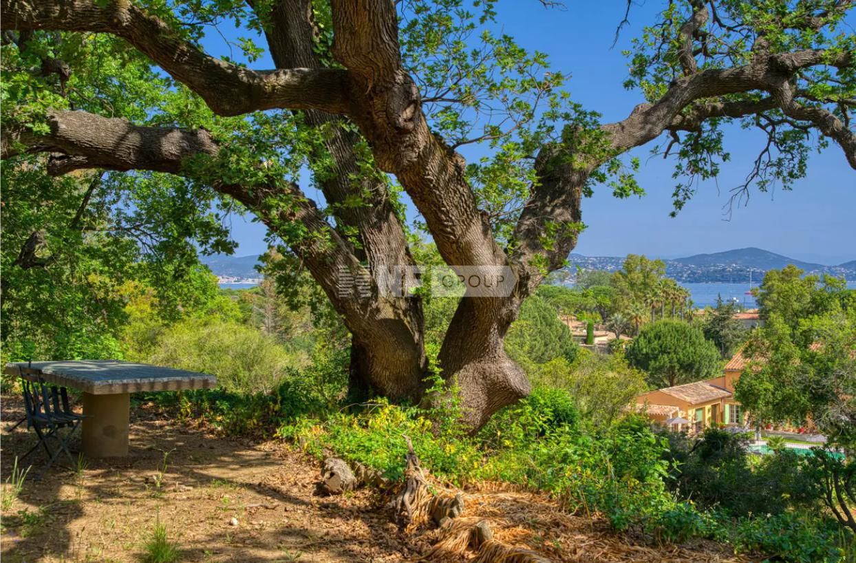 Casa a Saint-Tropez, Francia, 200 m² - foto 3