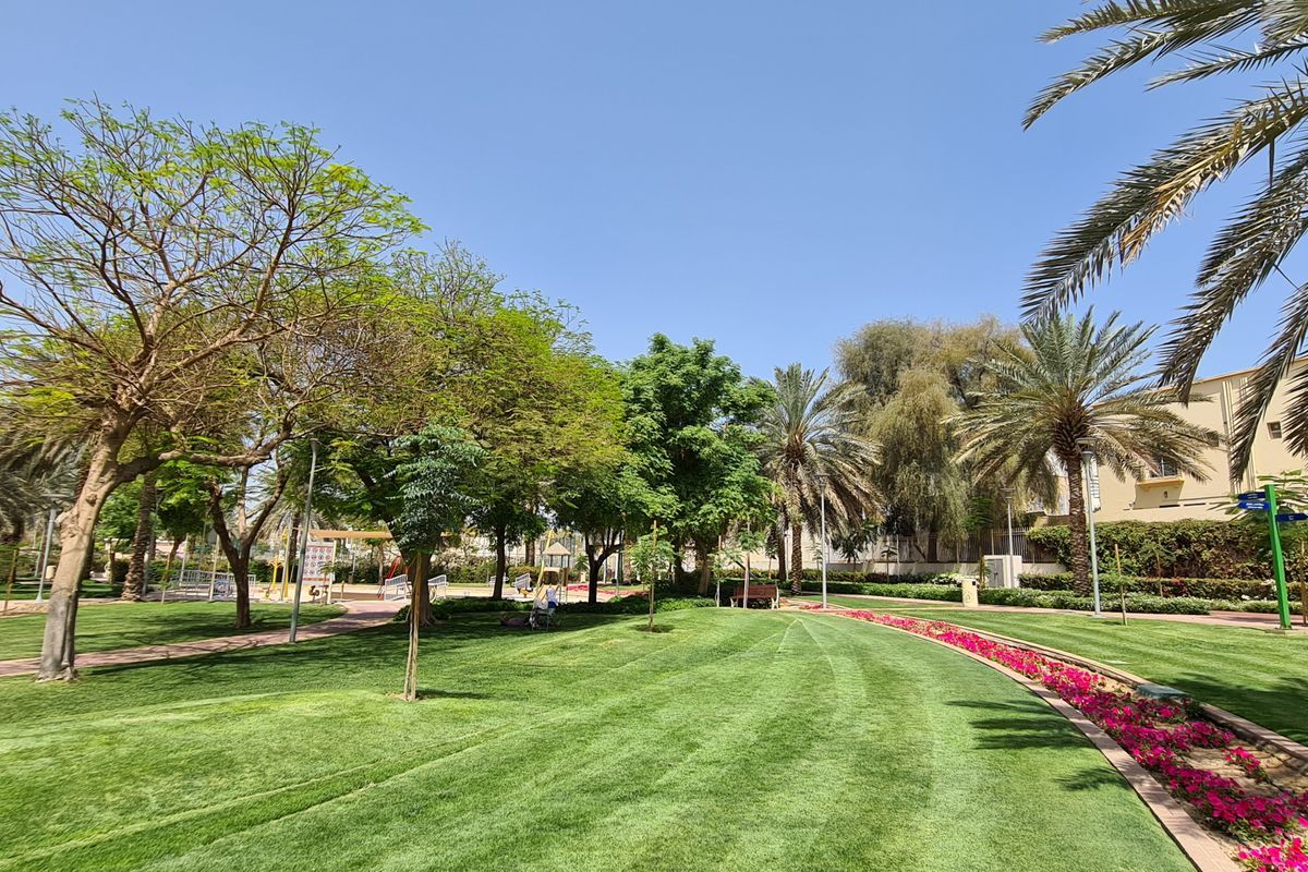 Land in Dubai, UAE, 1 338 m² - picture 1