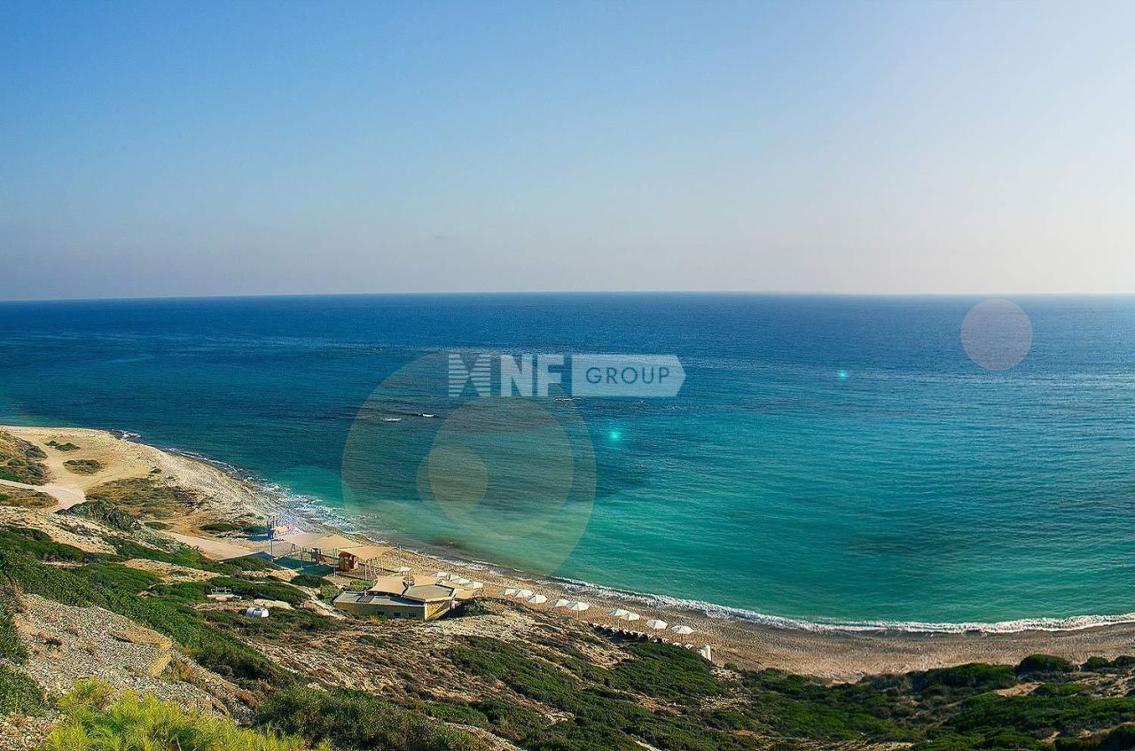 Land in Paphos, Cyprus, 1 492 m² - picture 1