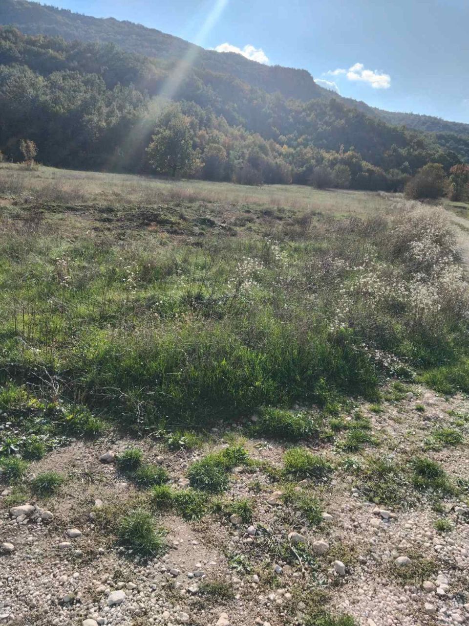 Land in Grahovo, Montenegro, 27 466 m² - picture 4