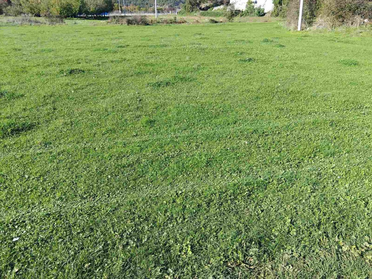 Land in Grahovo, Montenegro, 27 466 m² - picture 6