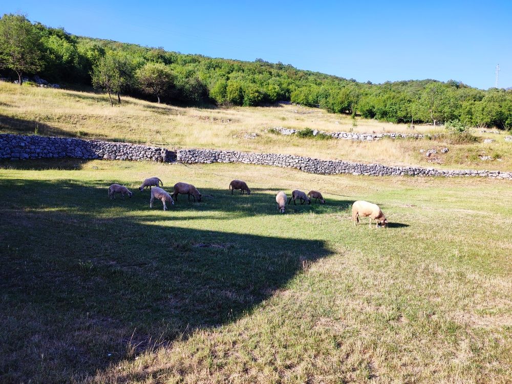 House in Niksic, Montenegro, 120 m² - picture 19