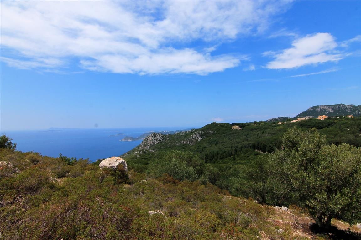 Land in Corfu, Greece, 4 000 m² - picture 1