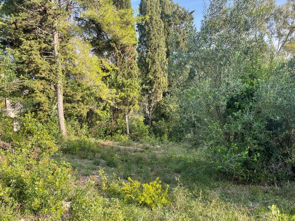 Land in Corfu, Greece, 3 321 m² - picture 17