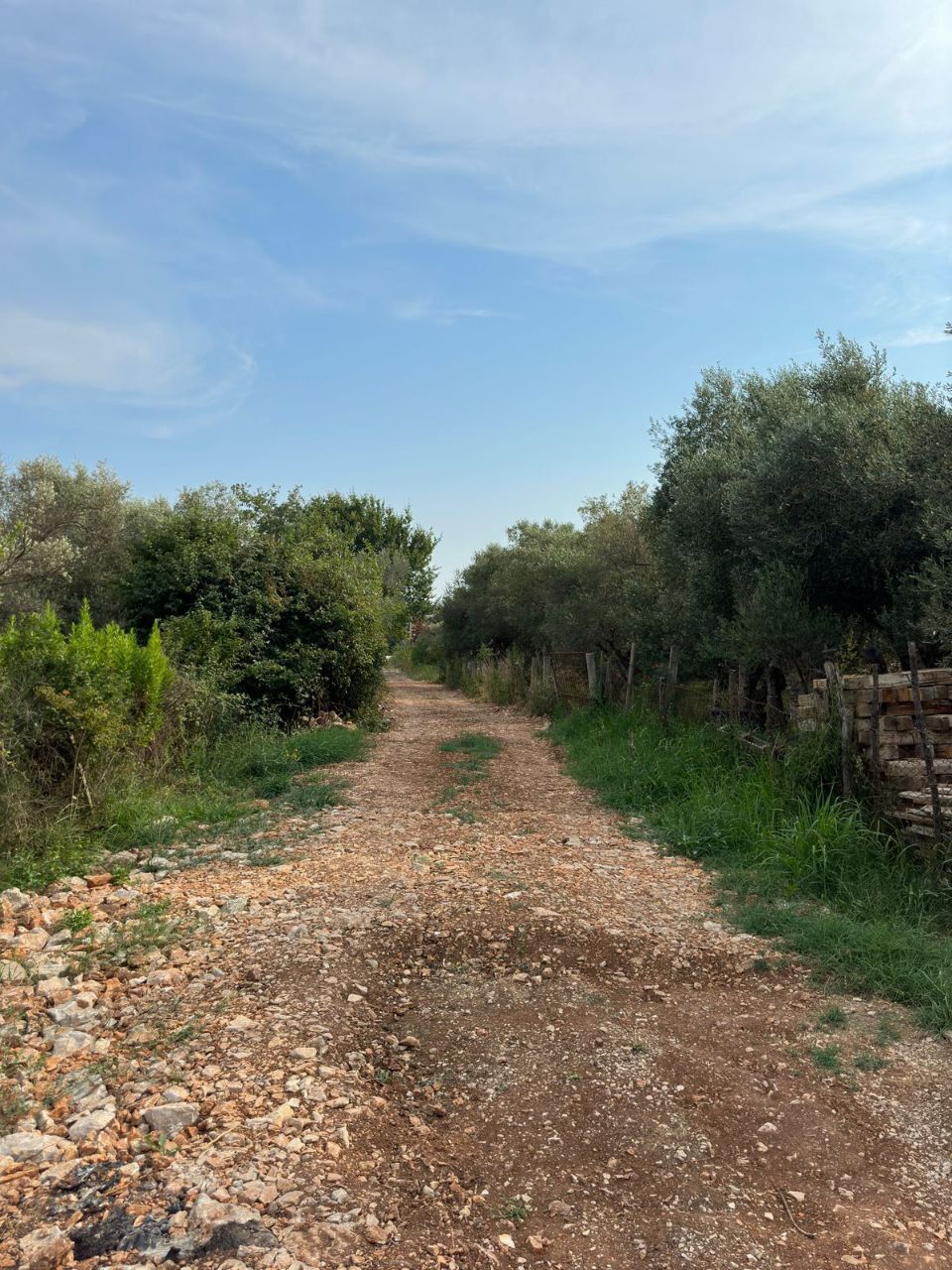 Terreno en Ulcinj, Montenegro, 1 200 m² - imagen 3