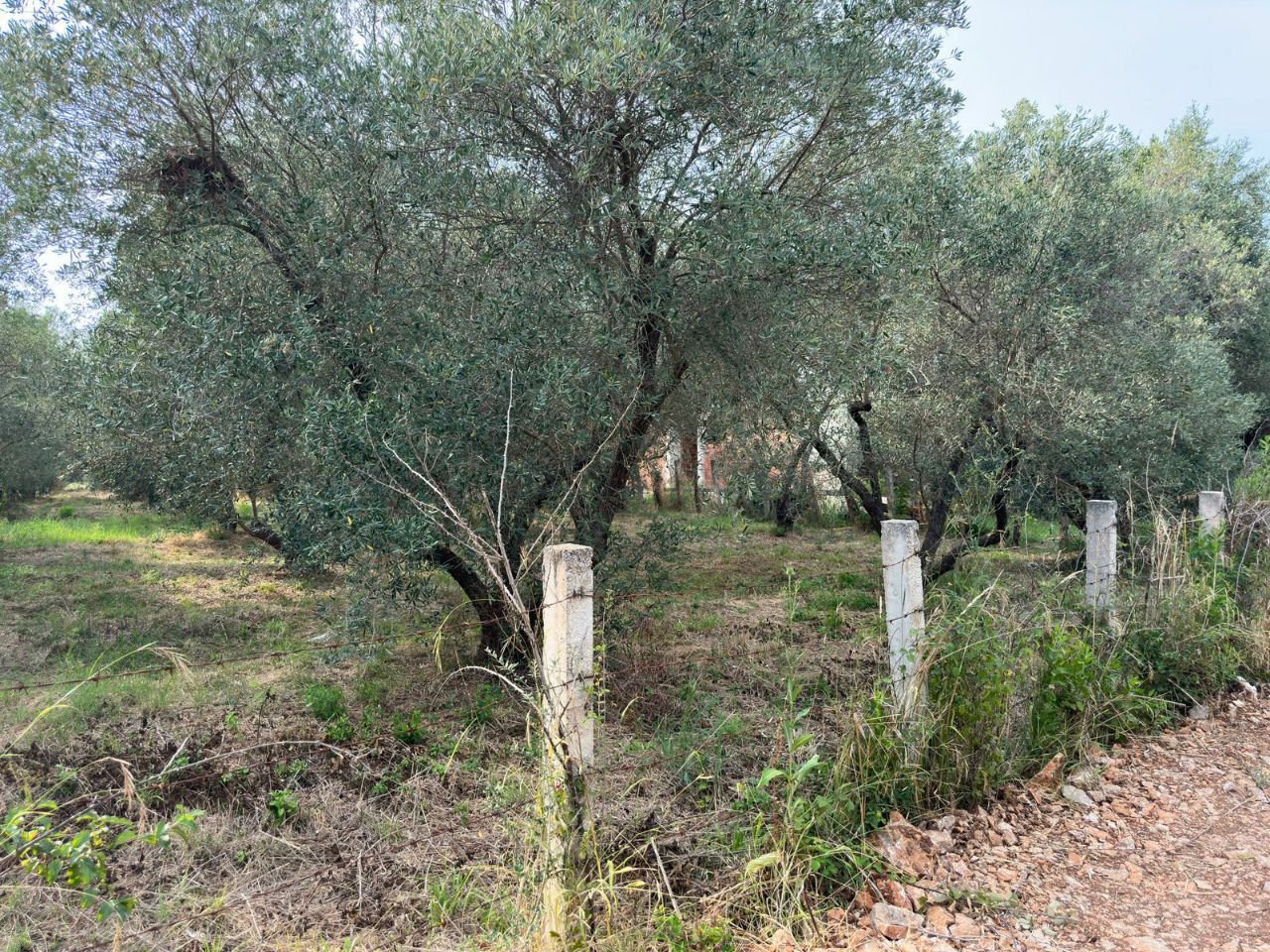 Terrain à Ulcinj, Monténégro, 1 200 m² - image 1