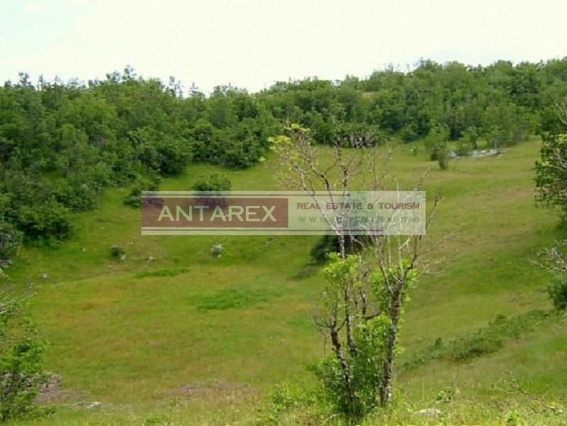 Grundstück in Niksic, Montenegro, 1 550 558 m² - Foto 4