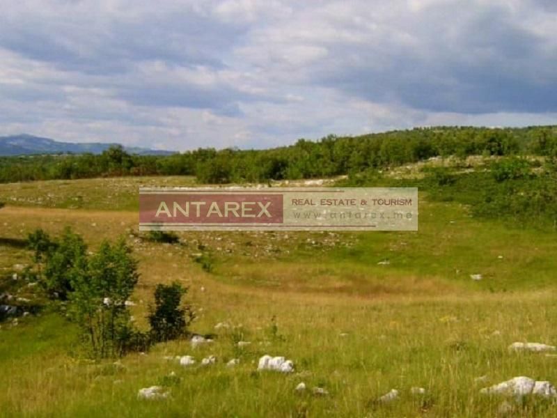 Grundstück in Niksic, Montenegro, 1 550 558 m² - Foto 5
