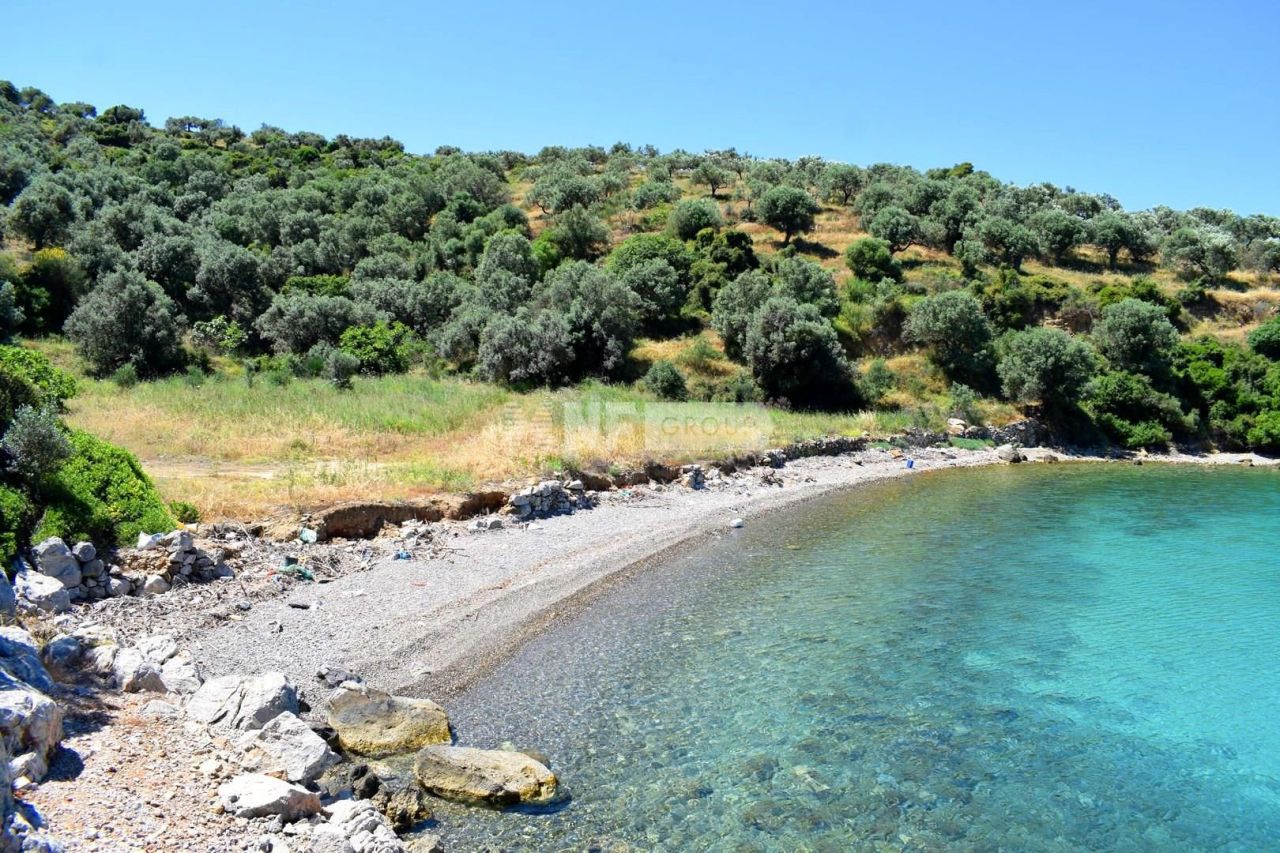 Terreno nel Peloponneso, Grecia, 32 000 m2 - foto 3