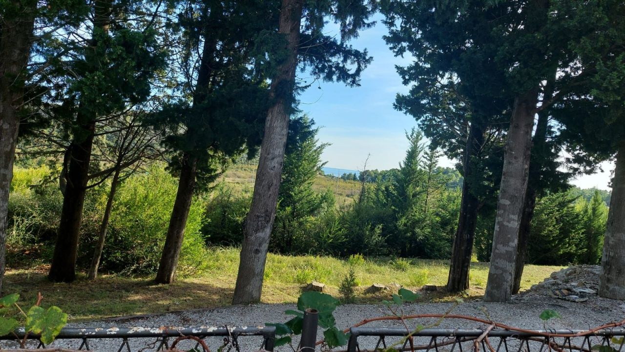 House in Sutomore, Montenegro, 224 m² - picture 19