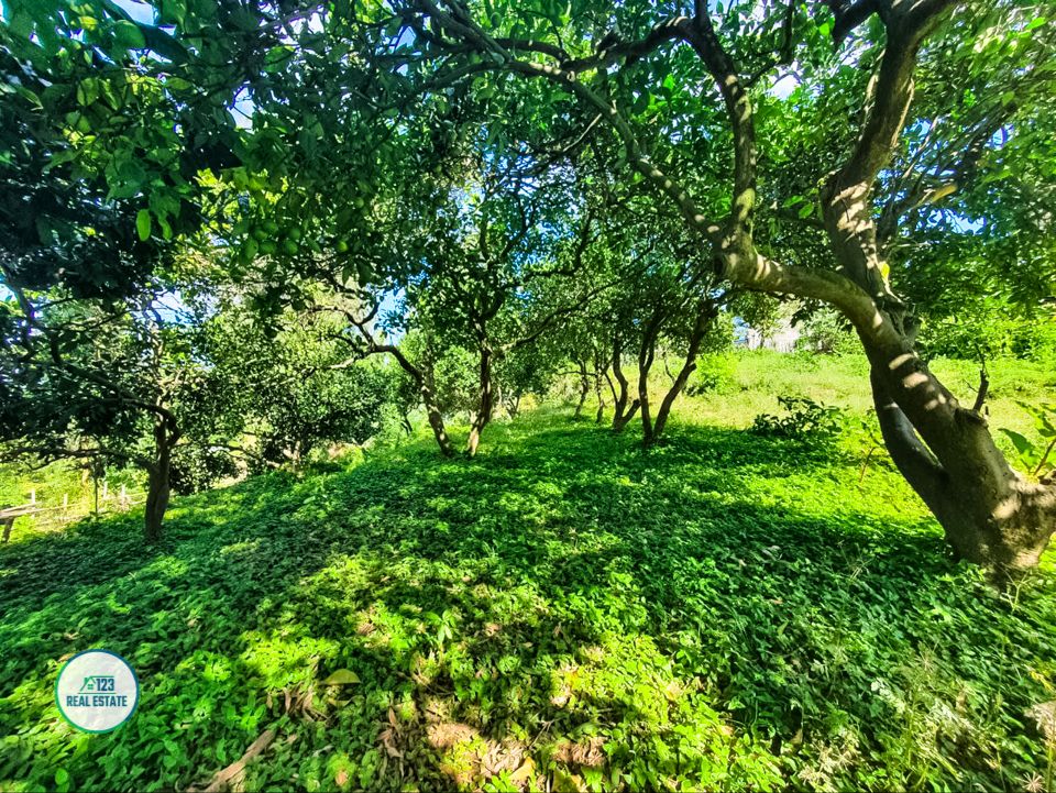 Land in Batumi, Georgia, 1 366 m² - picture 2