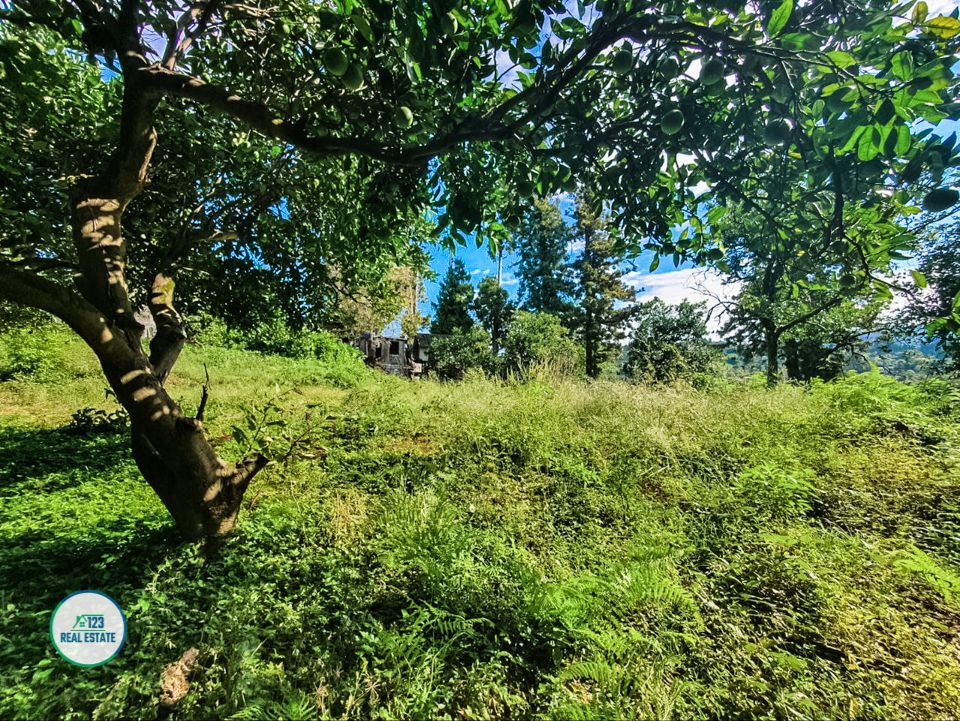 Land in Batumi, Georgia, 1 366 m² - picture 4