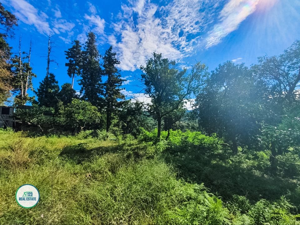 Land in Batumi, Georgia, 1 366 m² - picture 3