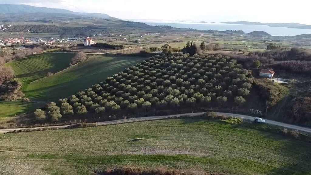 Terreno en Sitonia, Grecia, 5 625 m² - imagen 9