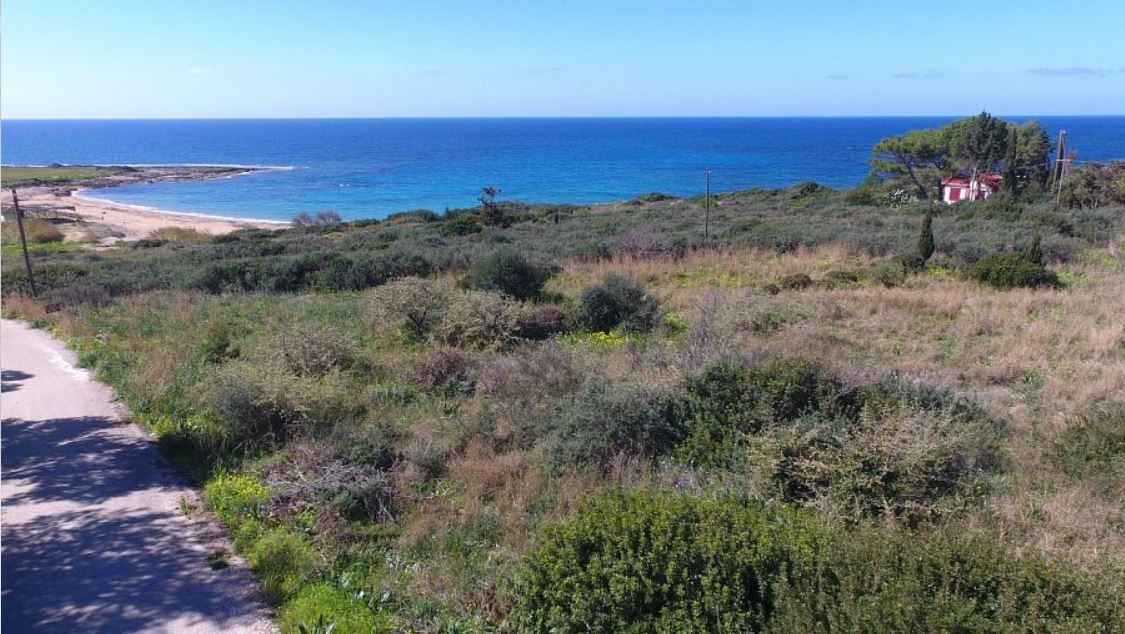 Land on Kefalonia, Greece, 18 300 ares - picture 6