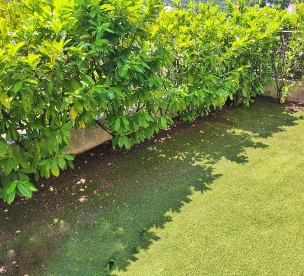 Flat in Morinj, Montenegro, 54 m² - picture 8