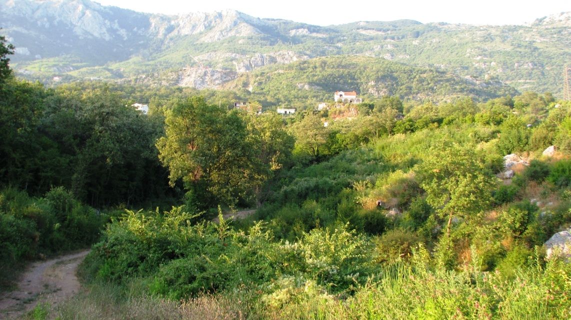 Terreno en Markovici, Montenegro, 5 ha - imagen 8