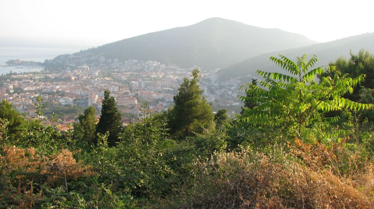 Terreno en Markovici, Montenegro, 5 ha - imagen 2