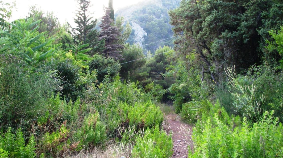 Terreno en Markovici, Montenegro, 4 ares - imagen 4