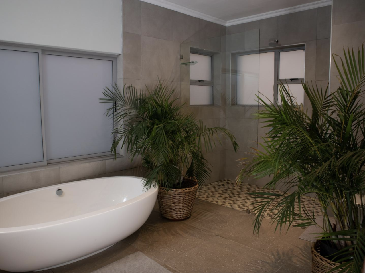 House Eastern Cape, RSA, 539 m² - picture 13