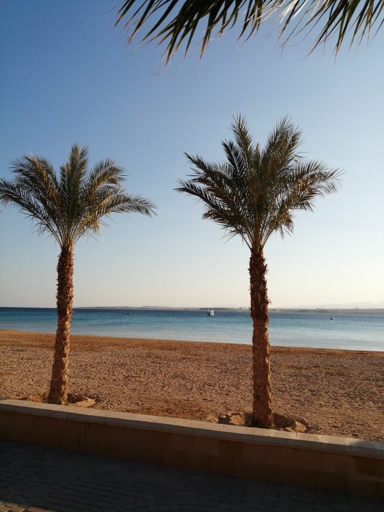 Studio in Sahl-Hasheesh, Egypt, 56.7 m² - picture 10