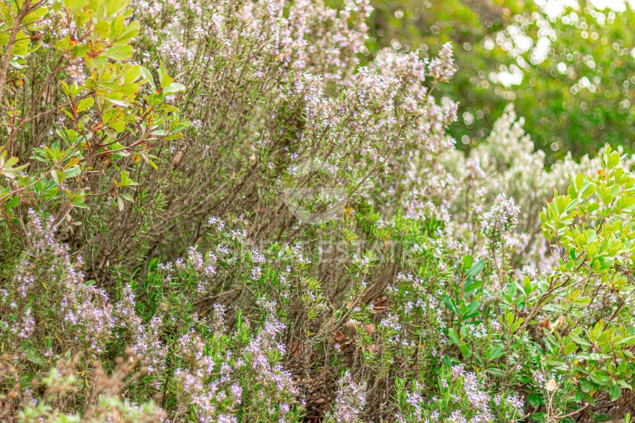 Maison à Baschi, Italie, 208.55 m² - image 18