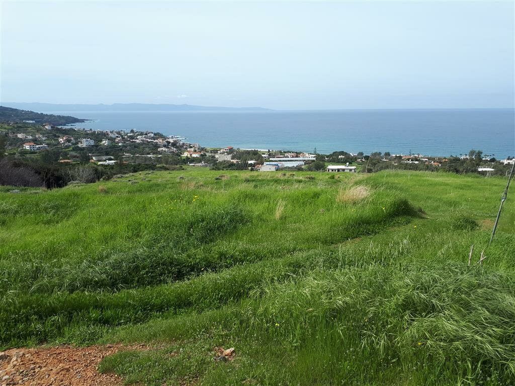 Land in Paphos, Cyprus, 4 497 m² - picture 1