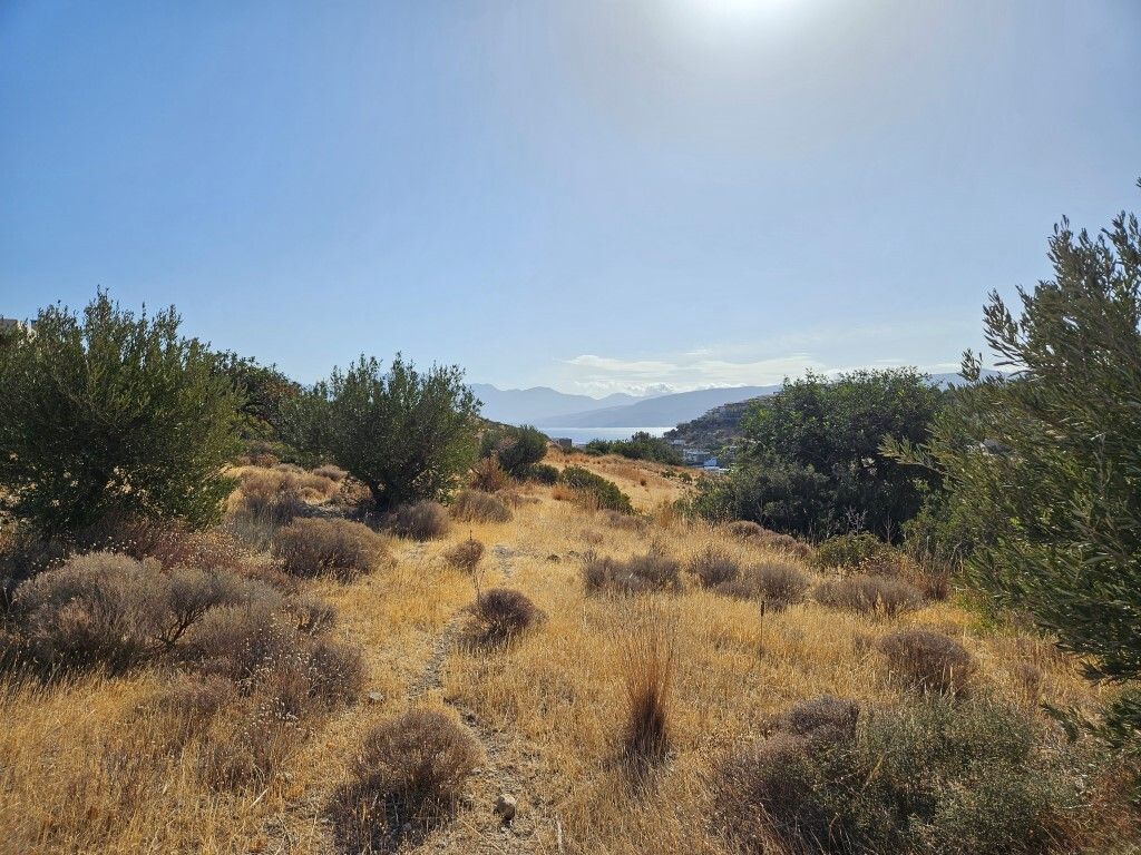 Land in Lasithi, Greece, 3 666 m² - picture 1