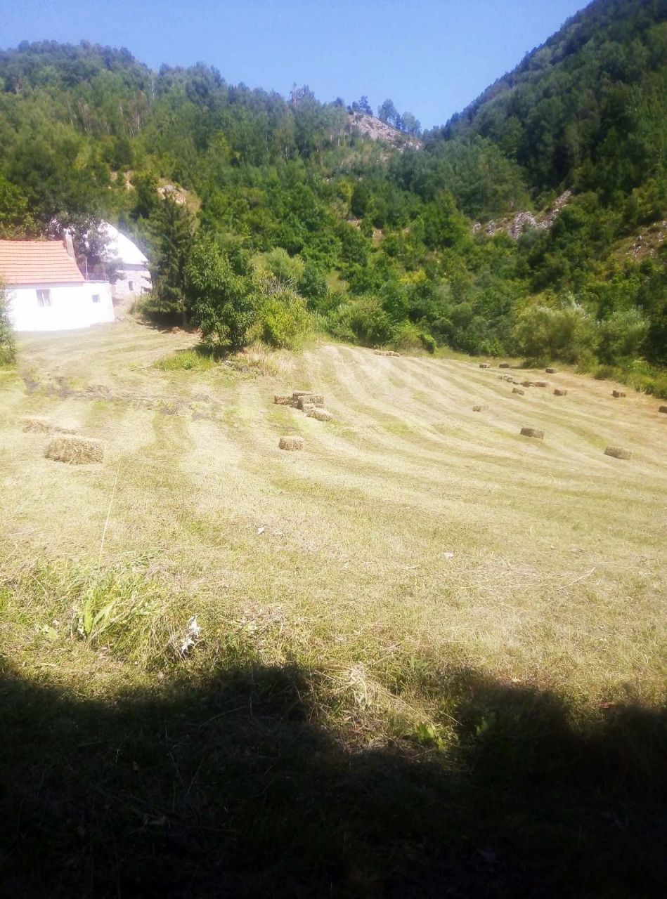 Grundstück in Šavnik, Montenegro, 3.84 ha - Foto 5