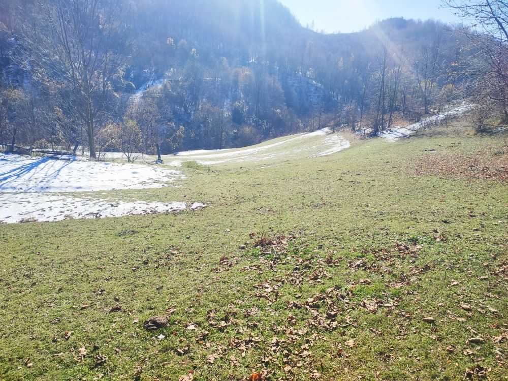 Grundstück in Šavnik, Montenegro, 3.84 ha - Foto 8