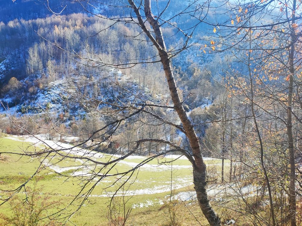 Grundstück in Šavnik, Montenegro, 3.84 ha - Foto 11