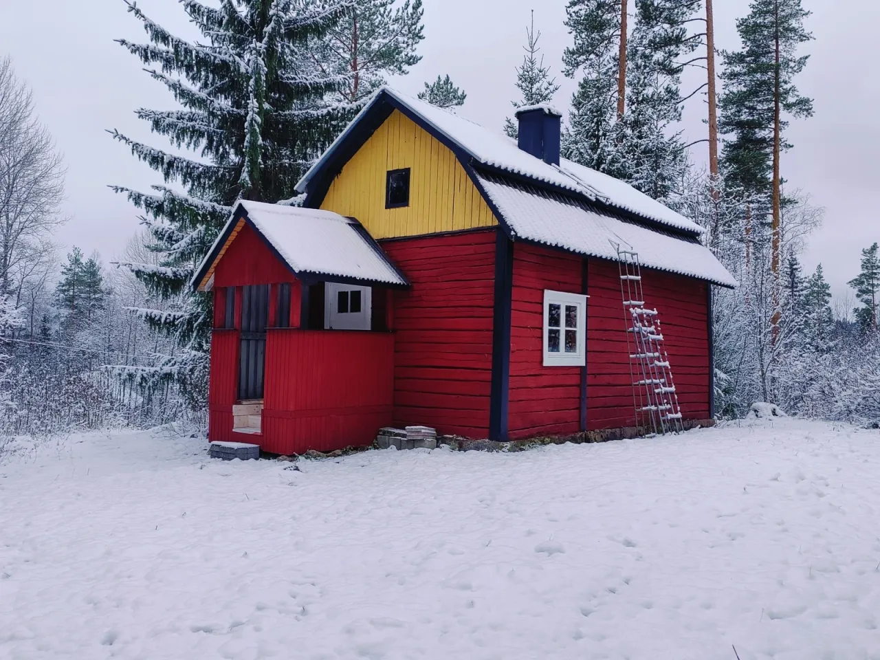 Cottage in Sysma, Finland, 42 m² - picture 1