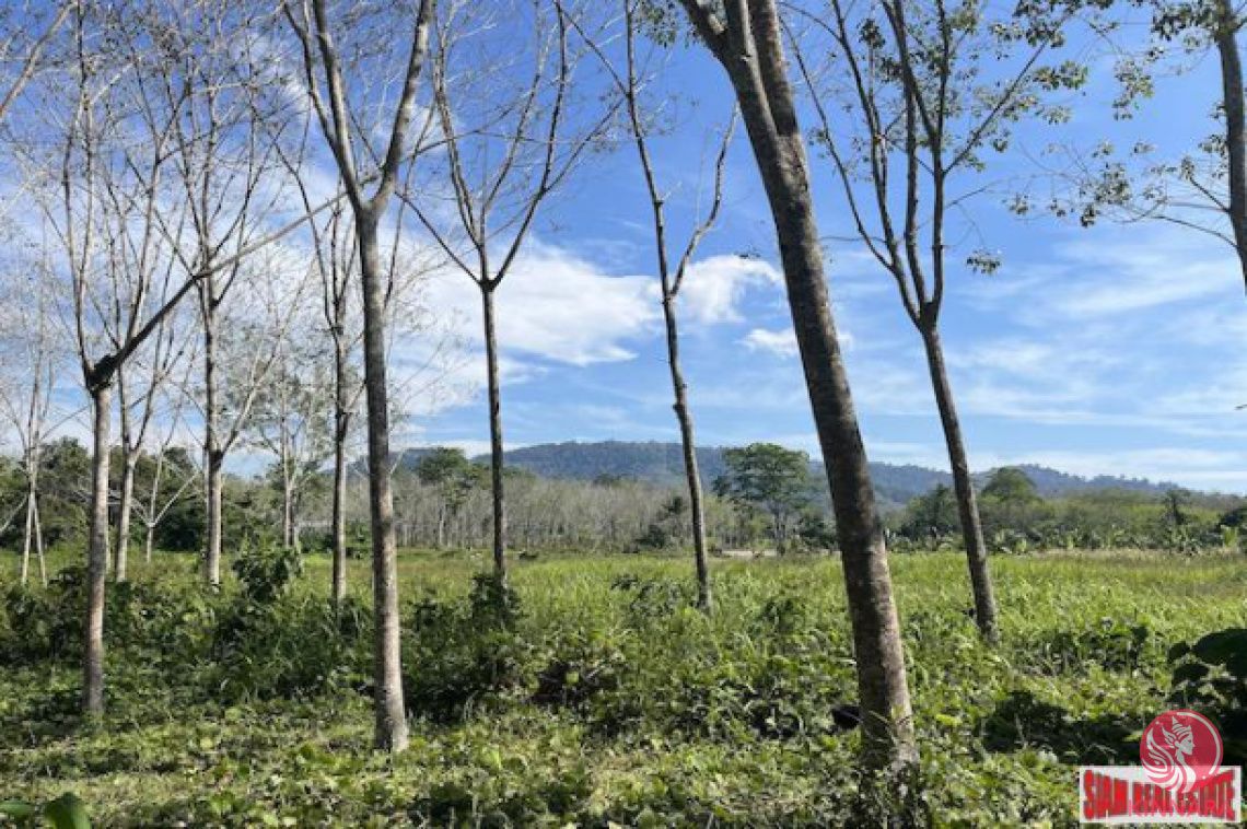 Terrain à Phang Nga, Thaïlande, 17 580 m² - image 1