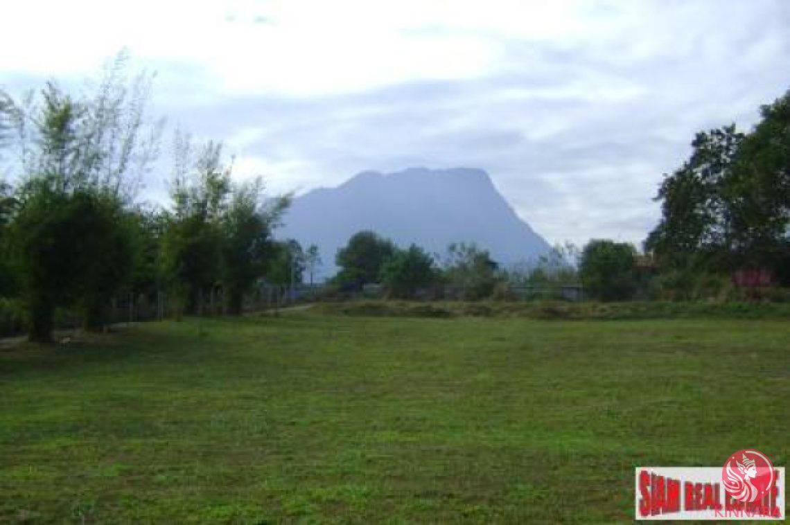 Land in Chiang Mai, Thailand, 9 876 m² - picture 1