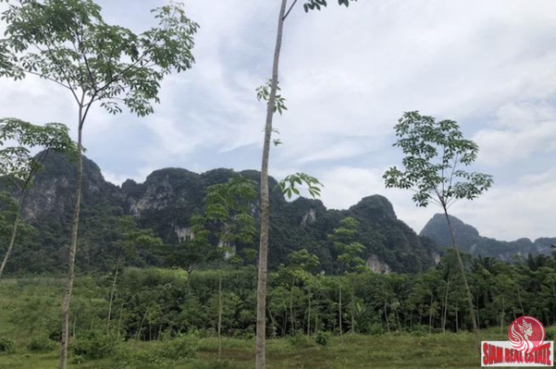 Land in Krabi, Thailand, 41 600 m² - picture 1