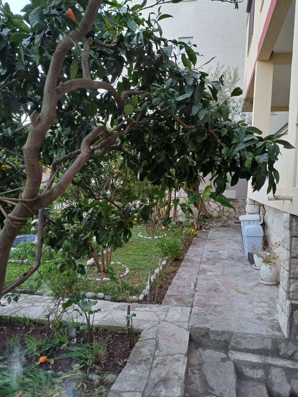 Hotel in Budva, Montenegro, 393 m² - picture 6