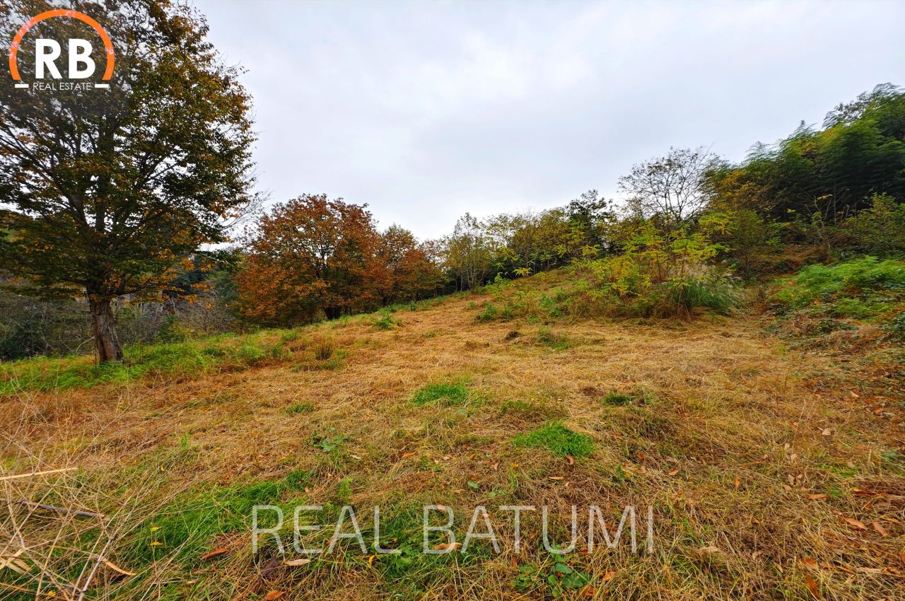 Terreno a Batumi, Georgia, 3 892 m2 - foto 7