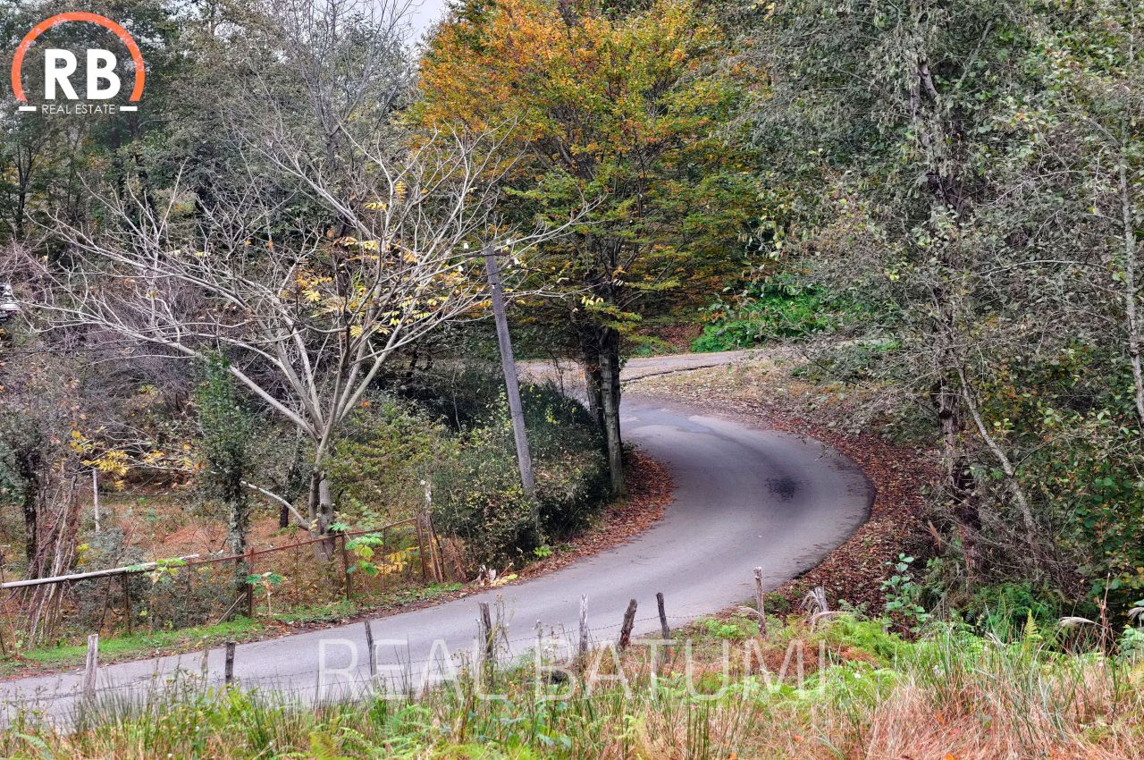 Terreno a Batumi, Georgia, 3 892 m2 - foto 10