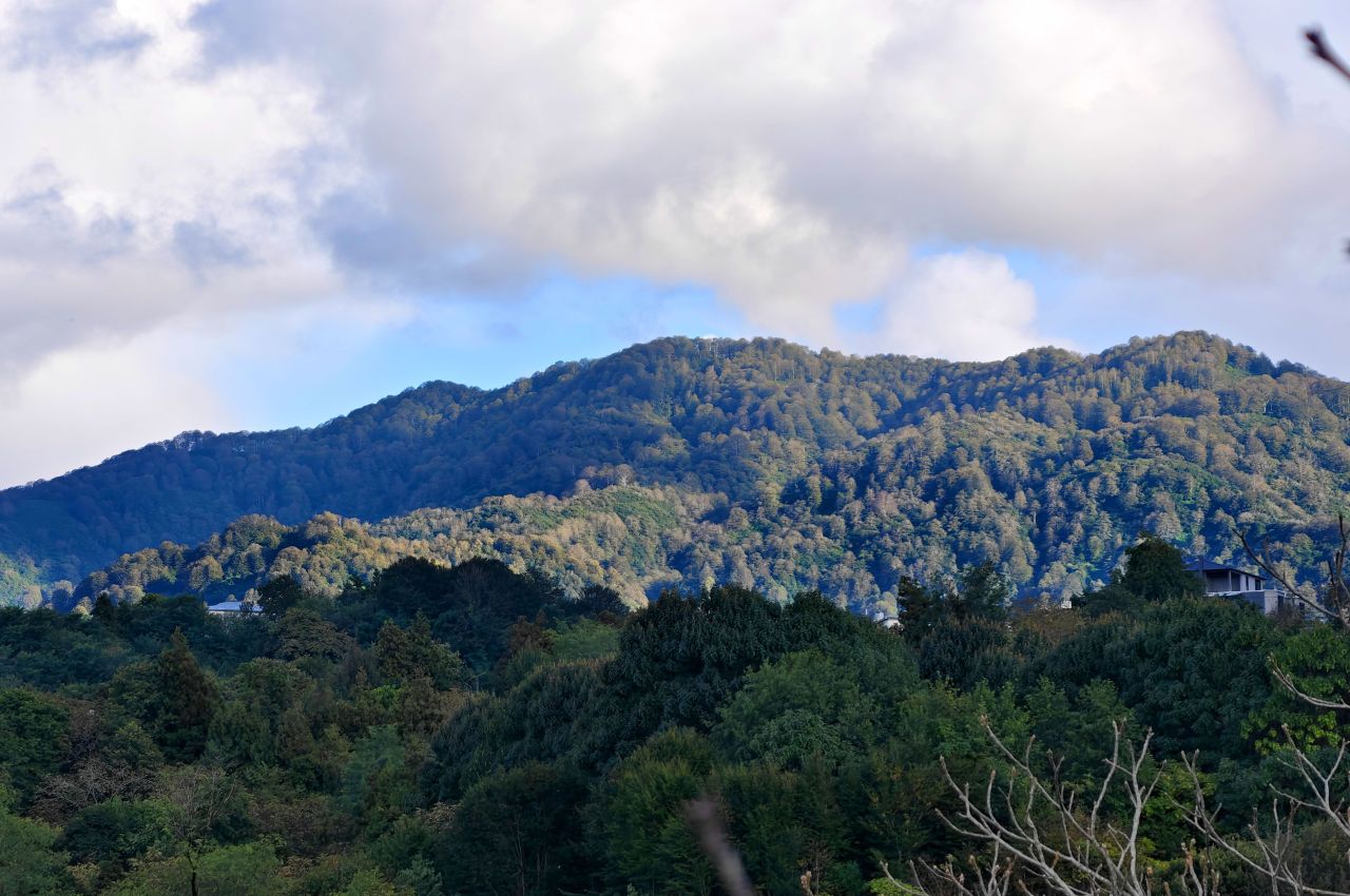 Terreno a Batumi, Georgia, 2 500 m2 - foto 2