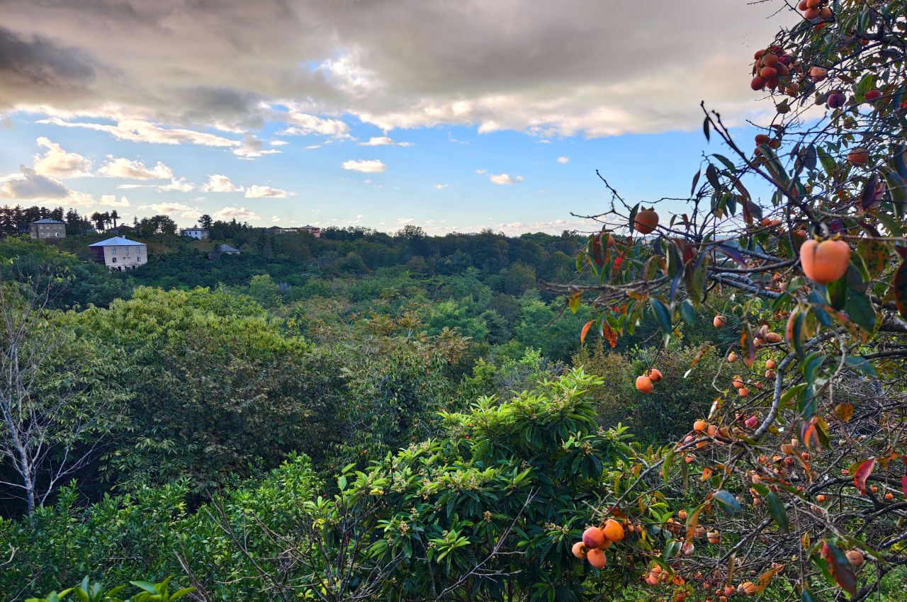 Terreno a Batumi, Georgia, 2 500 m2 - foto 6