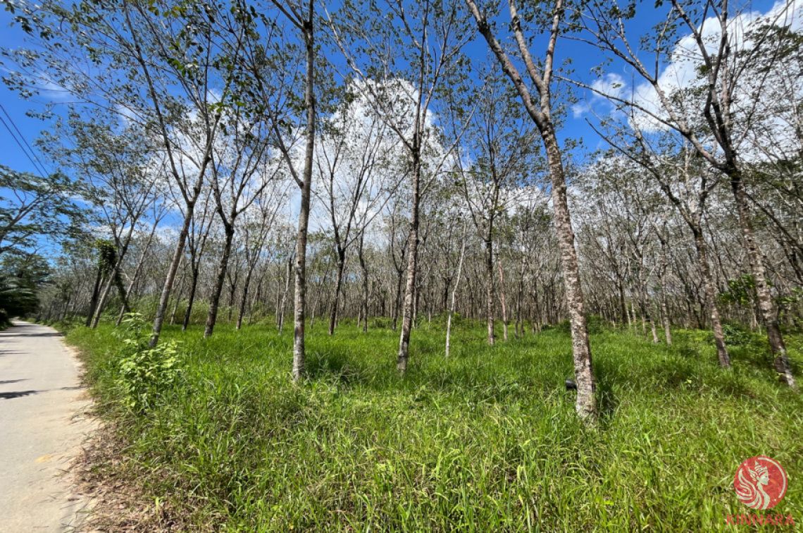 Grundstück in Phang Nga, Thailand, 105 320 m² - Foto 1