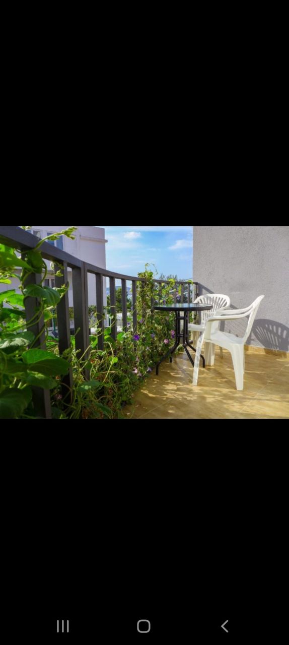 Apartment in Bar, Montenegro, 25 m² - picture 7