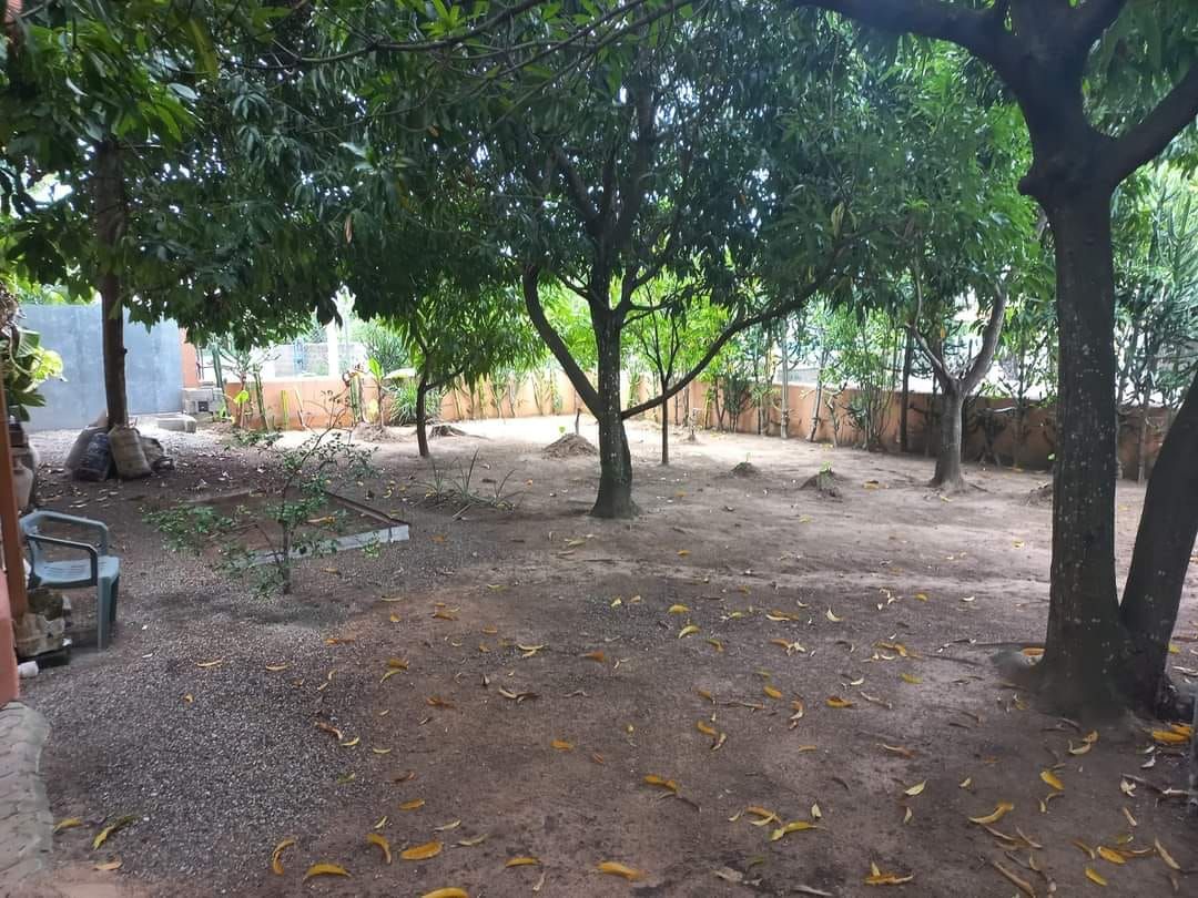 Maison de rapport à Sosúa, République dominicaine, 500 m² - image 6