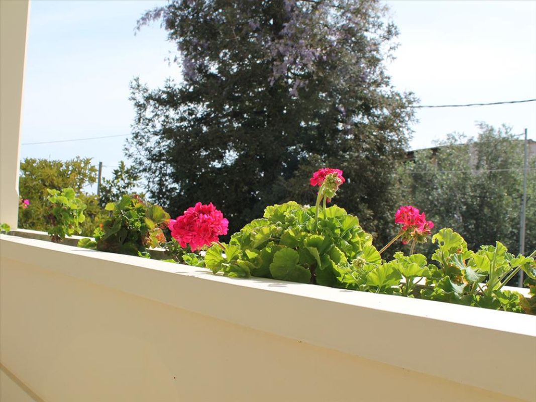 House on Ionian Islands, Greece, 280 m² - picture 12